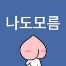 상반기 윗놀 결산.. 이게 다 무슨 일이죠
