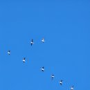 예당관광지 국민여가캠핑장 이미지