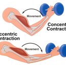 바디밸런스 경북도청점 이미지
