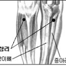 냉증(복부냉증)은 만병의 원인-장병섭,거제도- 이미지