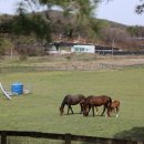 흥천목장 이미지