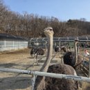 우송농장 이미지