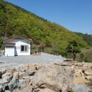 솔향원 이미지