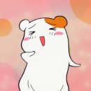 신기방기 이미지