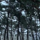 구시포 노을2 캠핑장 이미지