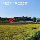 양사면-4 이미지