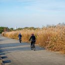 온천천시민공원 자전거대여소 이미지