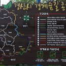 야생화숲