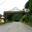 송이밸리자연휴양림 이미지