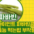 자이언트 파바빈 효능 먹는법 이미지