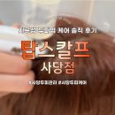 탑케어 | 탑스칼프 사당점, 지루성 두피염 케어 솔직 후기