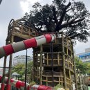 19 | 오산 버드파크 할인입장권 받고 19개월 아기랑 다녀온 후기