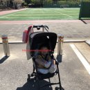 능내근린공원 이미지