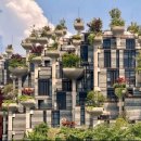 천과나무 이미지