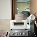 대피소 울릉 | 울릉도 숙소 추천 감성있는 고양이 대피소울릉 1박 내돈내산 트윈룸 숙박 후기