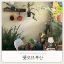 롯데리아 부산전포점 | 전포디저트카페 팟오브부산, 티라미수 맛집 솔직후기