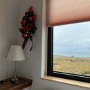 판포보름 이미지