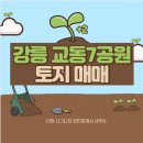현지인공인중개사사무소 이미지