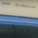 애니신정