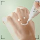 엔디피(NDP) 이미지