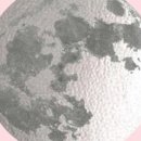 달로아잉