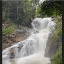 (해외기획여행완료) 7월31일~8월4일(3박5일)북해도보다 시원한 베트남의 작은유럽 사계절이 봄인 꽃의도시 달랏여행&amp;랑비앙트레킹 1차 이미지