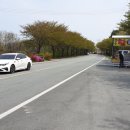 금오산진교전망대 이미지