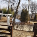 옥구공원숲속도서관 이미지