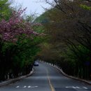 곽병원 네이버블로그