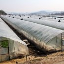 승아농장 이미지