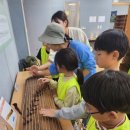 가야금튕겨보기 이미지