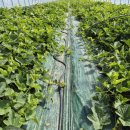 한진2농장 이미지