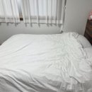 초콜릿 하우스(주말) 이미지