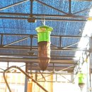 워시존 병점점 이미지