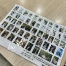 진진토탈 | [스튜디오 촬영] 그리너리한 스튜디오 - 줄리의 정원 청담 후기📸 (+ 꿀팁?)