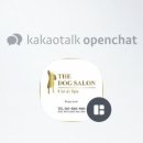 The dog 애견미용샵 이미지