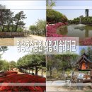 다양한 볼거리와 놀거리 산책 가볼만한 곳 의왕 레솔레파크 왕송호수공원