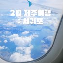 2월 제주여행 : 서귀포올레시장 갈 때 꼭 챙겨야할 것은?