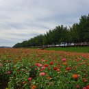 10월 충남 가볼만한곳 보령 무창포해수욕장 신비의 바닷길 축제 이미지