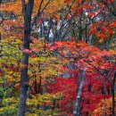 다락산장 이미지