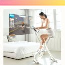 엑스로즈 헬스클럽 | 좁은 집도 헬스장으로! 숀리 엑스바이크 E3A 메타 솔직 후기