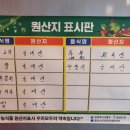 돈딴지 이미지