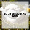 보타니칼아트 이미지