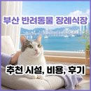 동물사랑 - 동작구 사당로16가길 12-22 | 부산 반려동물 장례식장 추천 시설 2곳│부산 동물 장례 비용, 후기, 주의사항까지 완벽 정리