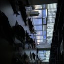 스트레칭 요가&폼룰러 이미지