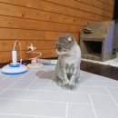 대림외과의원 이미지