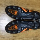 네오엑스 이미지