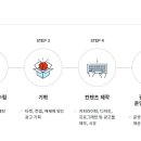 코투스애드
