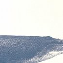 고래의 모험 이미지