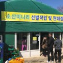 소산미나리농원 이미지